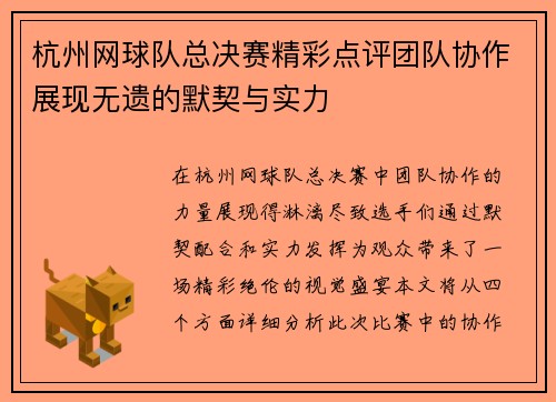 杭州网球队总决赛精彩点评团队协作展现无遗的默契与实力