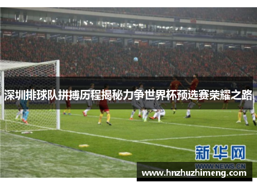深圳排球队拼搏历程揭秘力争世界杯预选赛荣耀之路