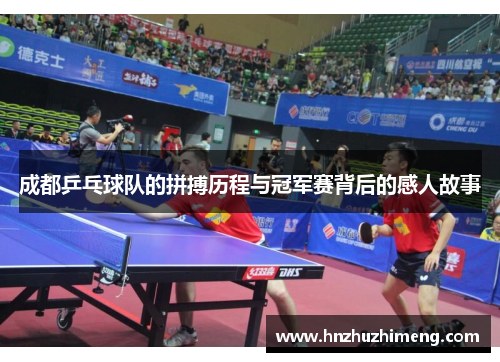 成都乒乓球队的拼搏历程与冠军赛背后的感人故事