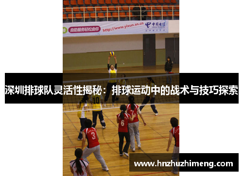 深圳排球队灵活性揭秘：排球运动中的战术与技巧探索