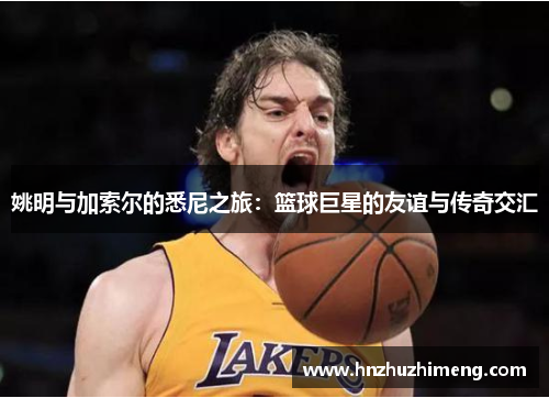 姚明与加索尔的悉尼之旅：篮球巨星的友谊与传奇交汇